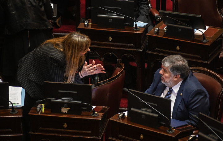 Debate en el Senado sobre Ficha Limpia
Foto Federico Lopez Claro