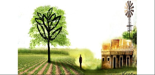 “La Acacia negra, una pesadilla para los productores agropecuarios”
