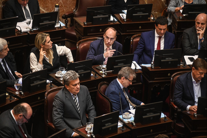 Debate en el Senado sobre Ficha Limpia. Foto Federico Lopez Claro