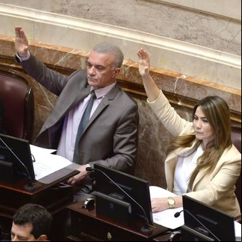De la Ley Bases hasta los pliegos de Lijo y García-Mansilla: todas las votaciones donde los senadores de Misiones cuestionados fueron funcionales al Gobierno de Milei
