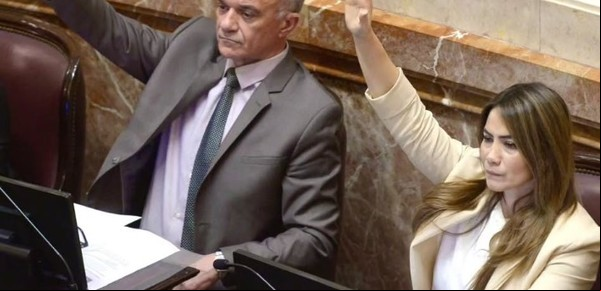 De la Ley Bases hasta los pliegos de Lijo y García-Mansilla: todas las votaciones donde los senadores de Misiones cuestionados fueron funcionales al Gobierno de Milei