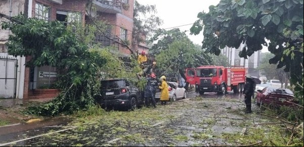 Árboles caídos y autos aplastados por un fuerte temporal en Misiones: en Oberá murió una mujer cuando despistó su camioneta