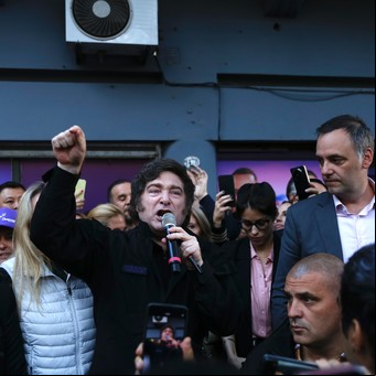 El plan contra Ficha Limpia y el riesgo de mover la ligustrina cuando se intenta espiar
