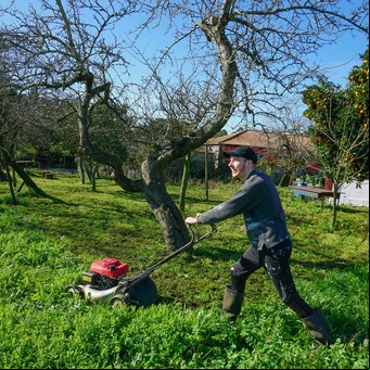 No tires el pasto que cortás: estas son 3 formas de reutilizarlo y ayudar a que tu jardín esté perfecto