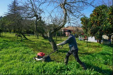 No tires el pasto que cortás: estas son 3 formas de reutilizarlo y ayudar a que tu jardín esté perfecto