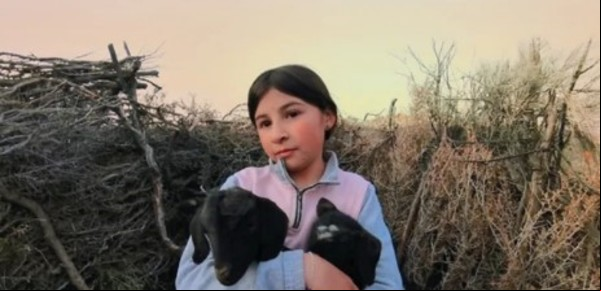 Vacas, cabras y camellos: llega a la Argentina lo mejor del cine que le rinde culto a los animales