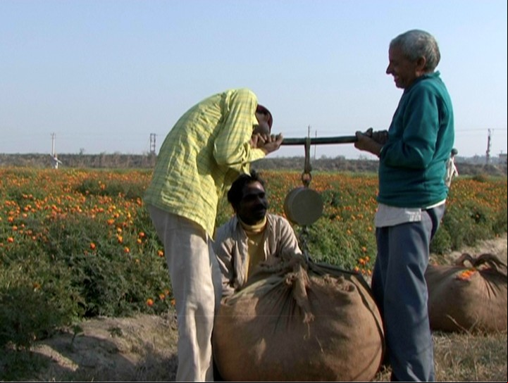 Pesaje de flores en el documental del fotógrafo y activista ambiental Ravi Agarwal, de Nueva Delhi.