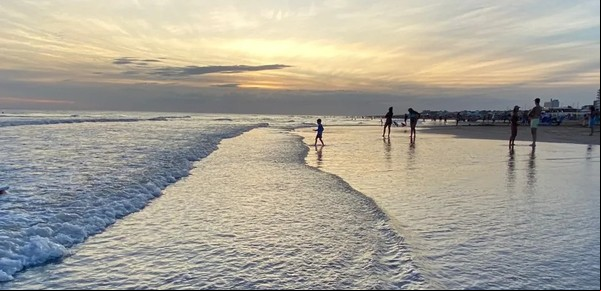 El paraíso escondido en la Costa Atlántica: descubrí la playa que casi nadie conoce y caminá por sus frondosos bosques