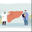 Qué impacto tiene la cebolla en el hígado: mito o realidad