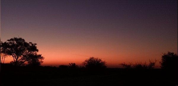 El Servicio Meteorológico Nacional anticipa que en varias regiones productivas habrá lluvias superiores a las normales en el tercer trimestre del año